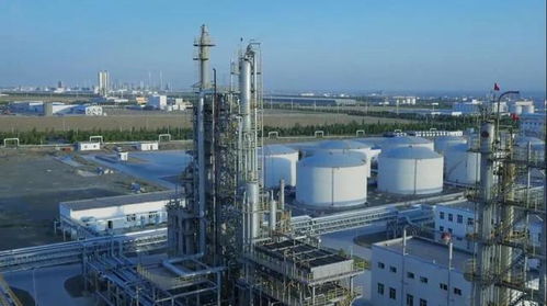 砥礪奮進五年間 奎屯—獨山子經濟技術開發區榮獲兩項國家級殊榮，技術轉讓成果顯著