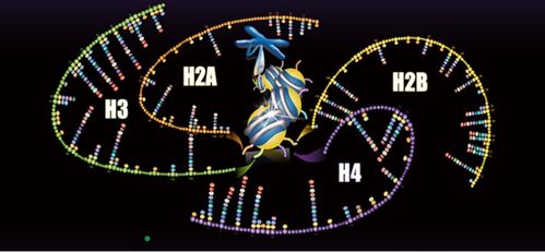 聚焦蛋白質組學技術開發與應用，景杰生物完成5.3億元B輪融資以加速技術推廣