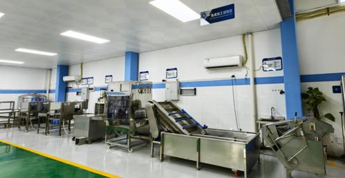 技術(shù)賦能，智造未來(lái)——廣東省農(nóng)裝院引領(lǐng)水產(chǎn)養(yǎng)殖與加工新趨勢(shì)