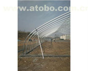 安陽(yáng)市騰達(dá)農(nóng)業(yè)技術(shù)推廣服務(wù)有限責(zé)任公司 農(nóng)用機(jī)械熱賣促銷與專業(yè)咨詢一站式服務(wù)